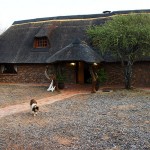 Game Lodge