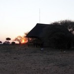 Game Lodge