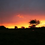 Bushveld Sunset