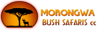 MORONGWA BUSH SAFARIS CC