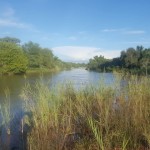 Matlabas river Thabazimbi, teaming with wildlife